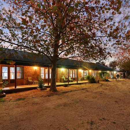 The Vineyard Motel Cowra Bagian luar foto