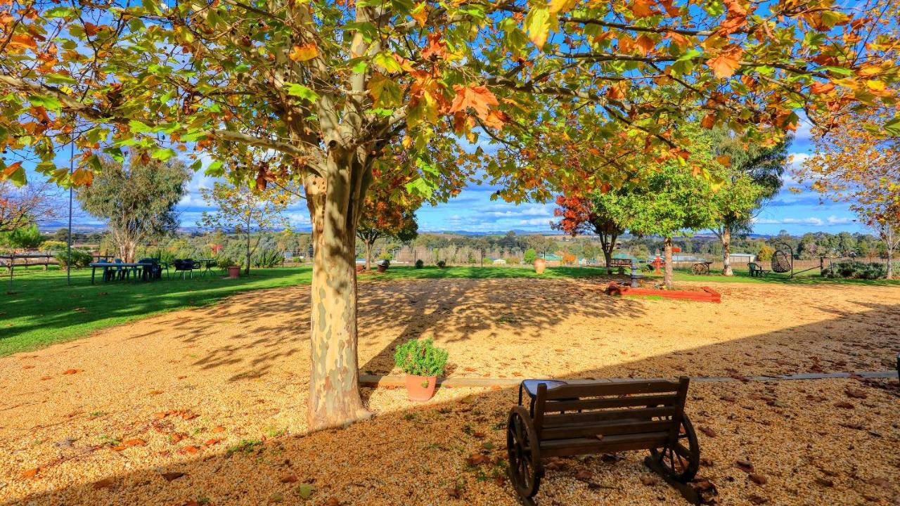 The Vineyard Motel Cowra Bagian luar foto