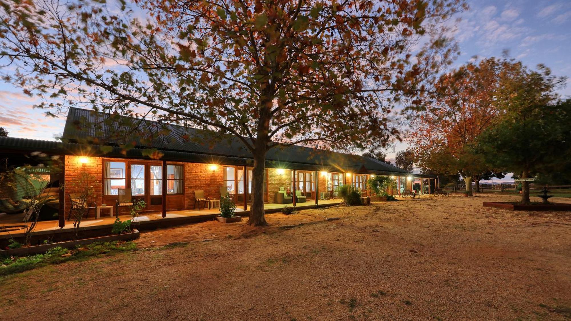 The Vineyard Motel Cowra Bagian luar foto