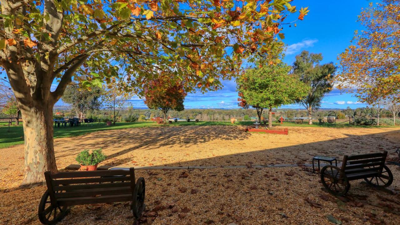 The Vineyard Motel Cowra Bagian luar foto