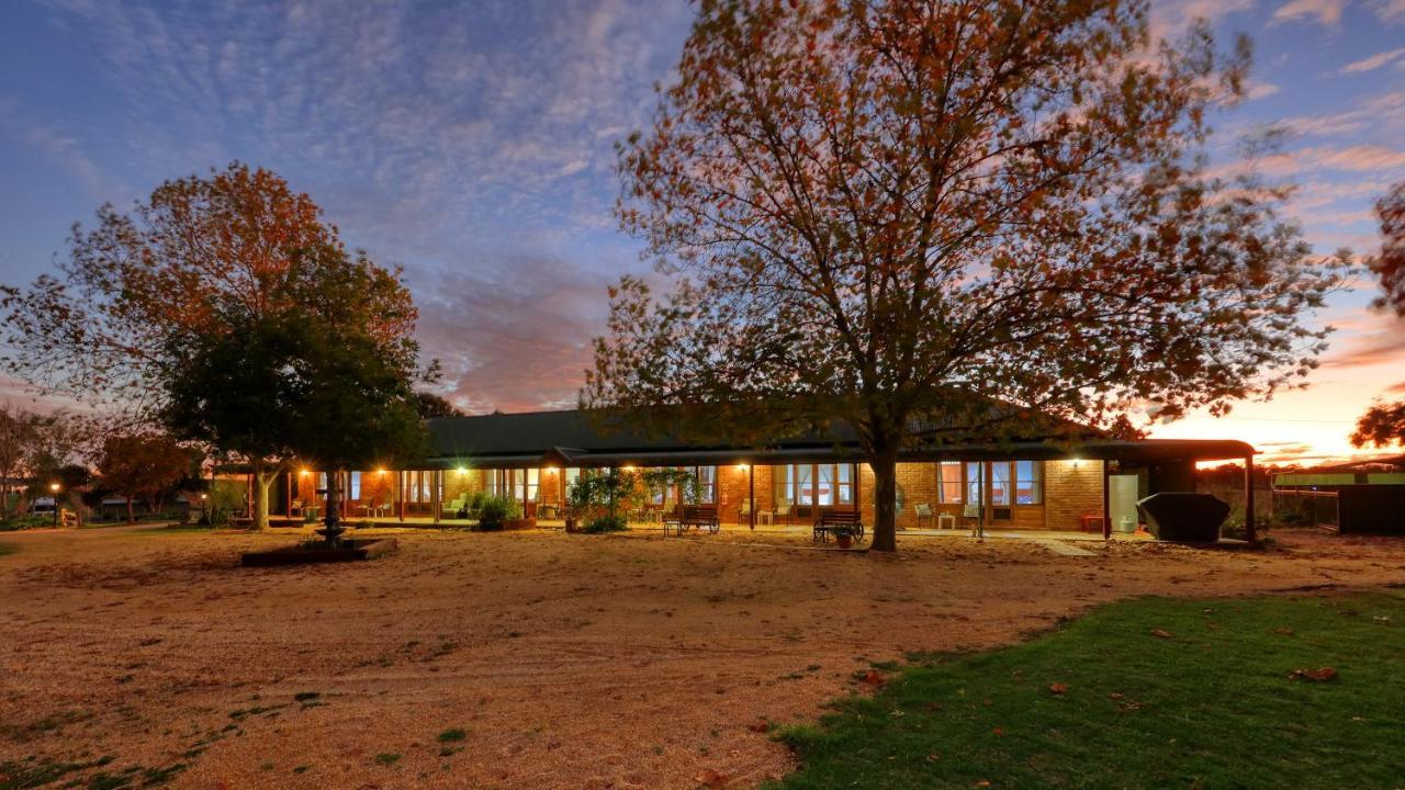 The Vineyard Motel Cowra Bagian luar foto