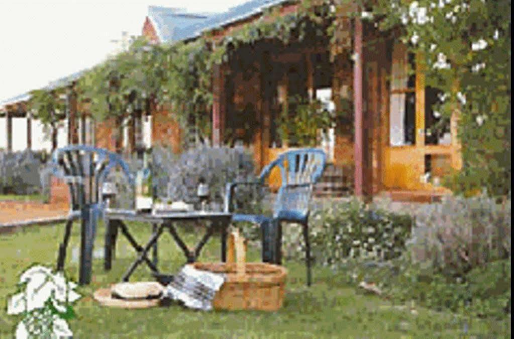 The Vineyard Motel Cowra Bagian luar foto